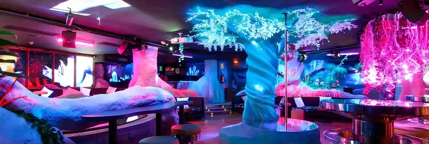 Exemple de Night Club - SD Events & Management